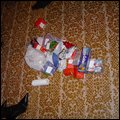 DSC00394.JPG