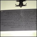 DSC00421.JPG